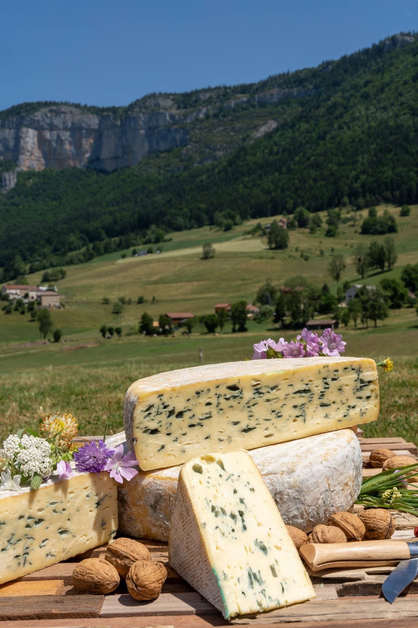 Trois pièces de bleu du Vercors-Sassenage entamées, posées sur une planche avec des noix et des fleurs des prés, devant les falaises et les prairies du Vercors