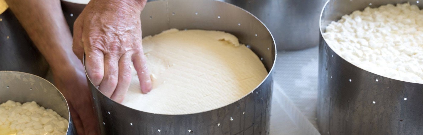 Un fromager presse à la main le caillé dans un moule perforé, entre d’autres moules remplis de caillé en grains, à la fromagerie